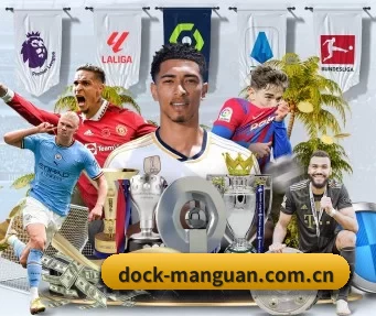dock-manguan.com.cn APP